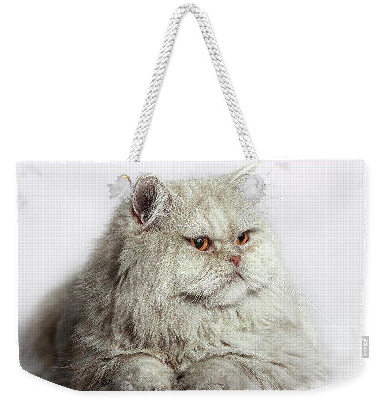 Pets Weekender Tote Bag featuring the photograph Gato Persa by Silversaltphoto.j.senosiain