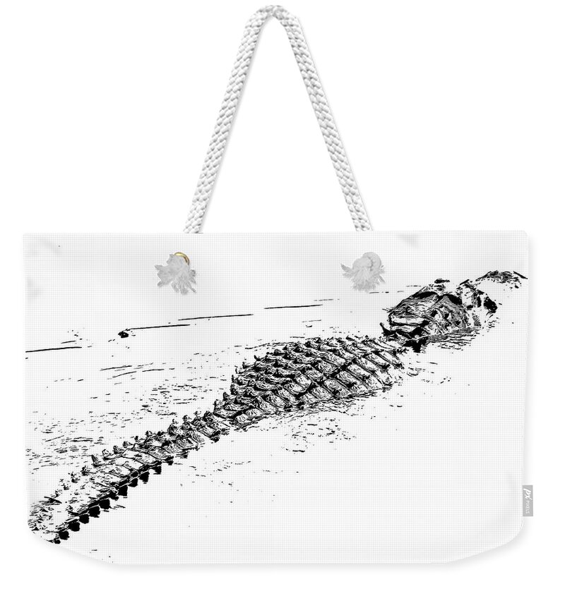 Alligator Weekender Tote Bag featuring the photograph Gator Crossing by Michael Allard
