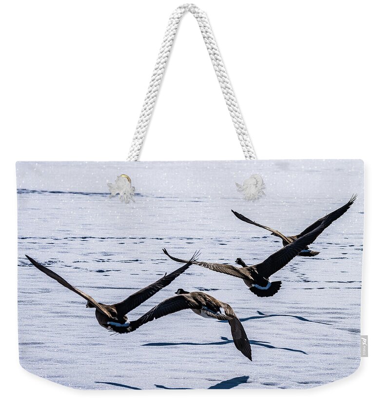 Geese Weekender Tote Bag featuring the photograph Geese over Frozen Kitring Pond by Tim Kathka