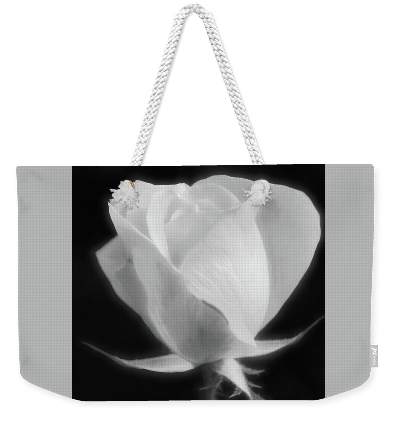 Flower Weekender Tote Bag featuring the photograph Gently Opening by Leda Robertson
