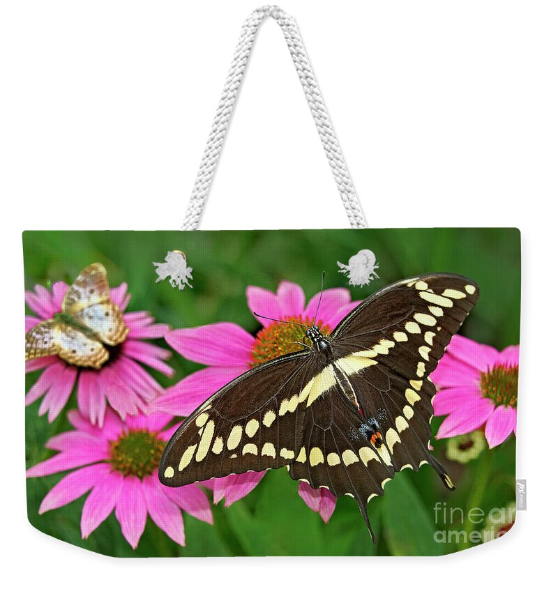Dave Welling Weekender Tote Bag featuring the photograph Giant Swallowtail Papilo Cresphontes by Dave Welling