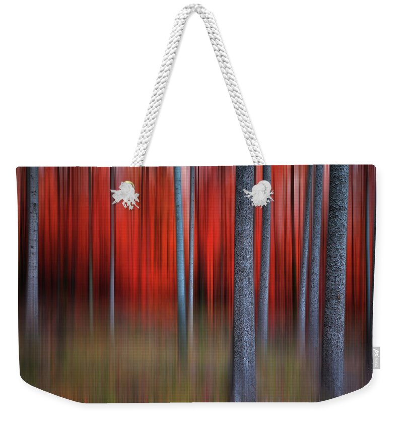 Autumn Weekender Tote Bag featuring the photograph Gimick by Philippe Sainte-Laudy