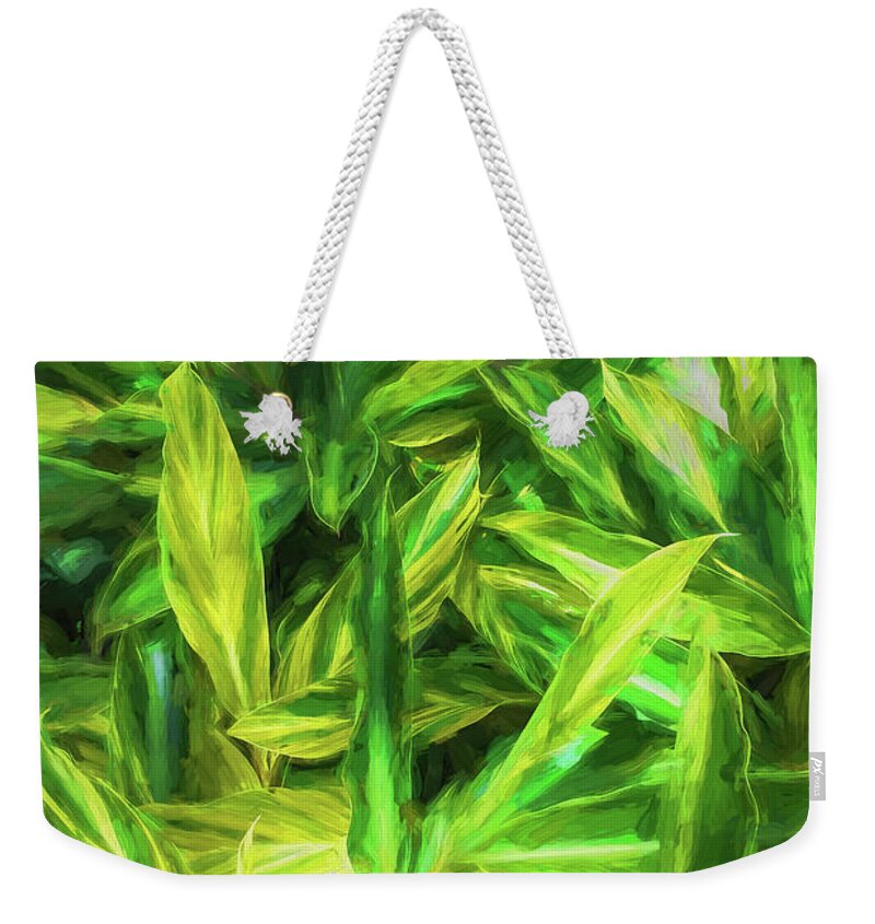 Ginger Alpinia Weekender Tote Bag featuring the photograph Ginger Alpinia 100 by Rich Franco
