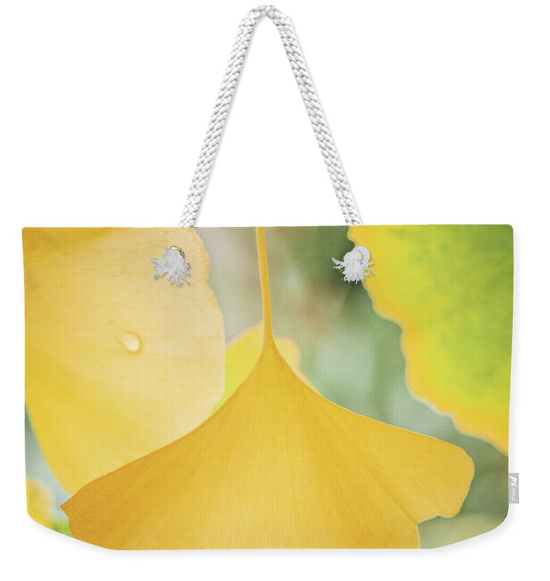 Ginkgo Weekender Tote Bag featuring the photograph Ginkgo Symbol by Philippe Sainte-Laudy