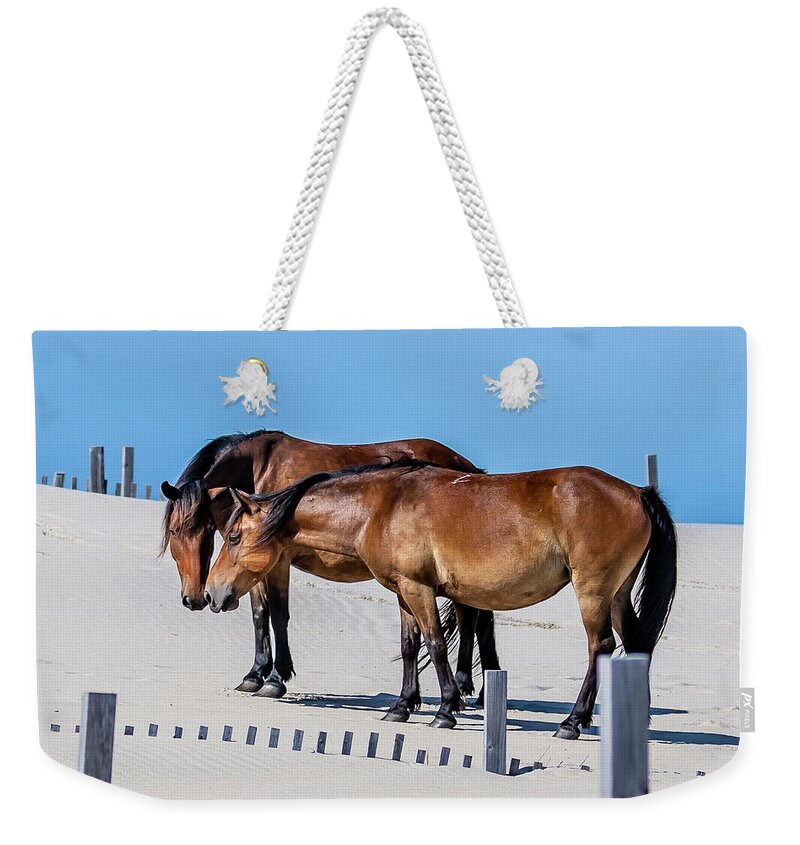 Animals Weekender Tote Bag featuring the photograph Girl Talk 2 by Donna Twiford
