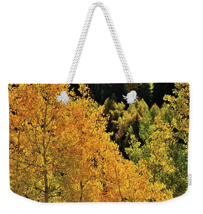 Cclorado Weekender Tote Bag featuring the photograph Glowing Aspens along Highway 550 by Ray Mathis