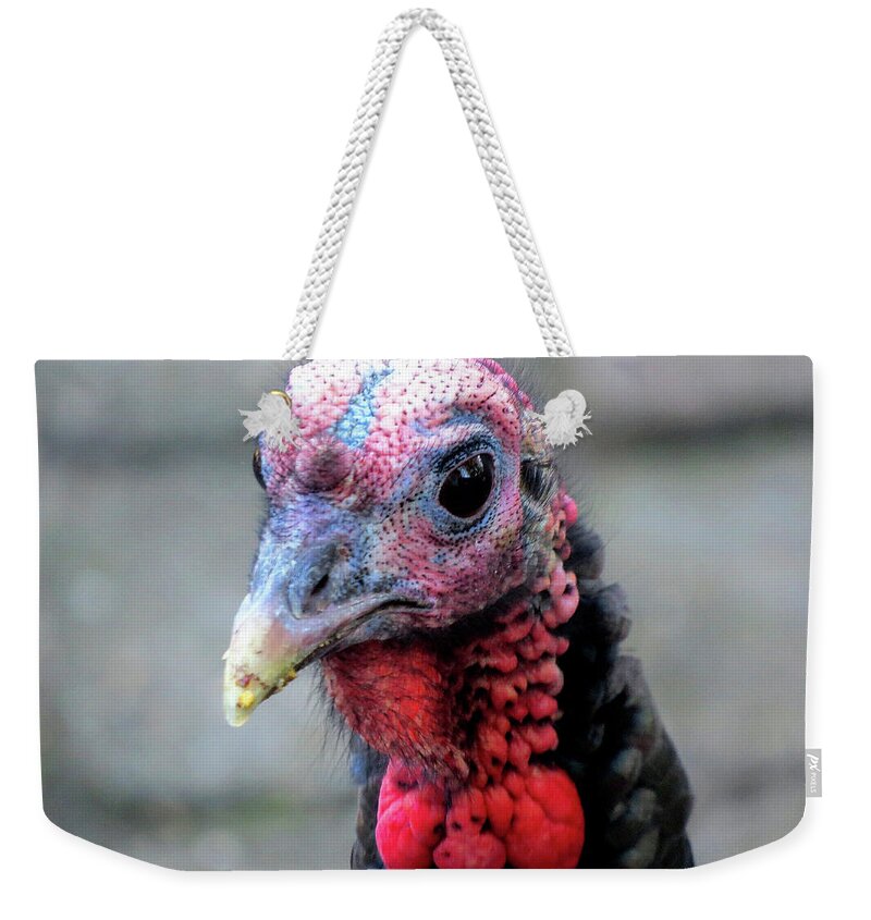 Turkey Weekender Tote Bag featuring the photograph Gobbler Portrait by Linda Stern