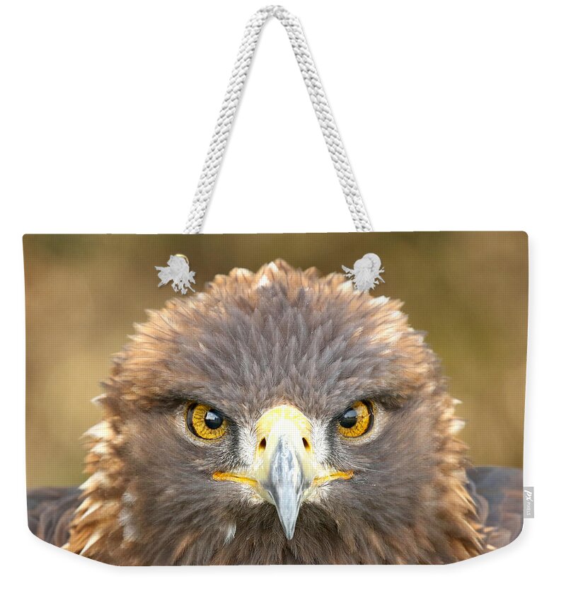  Eagle Weekender Tote Bag featuring the photograph Golden Eyes by Heather King