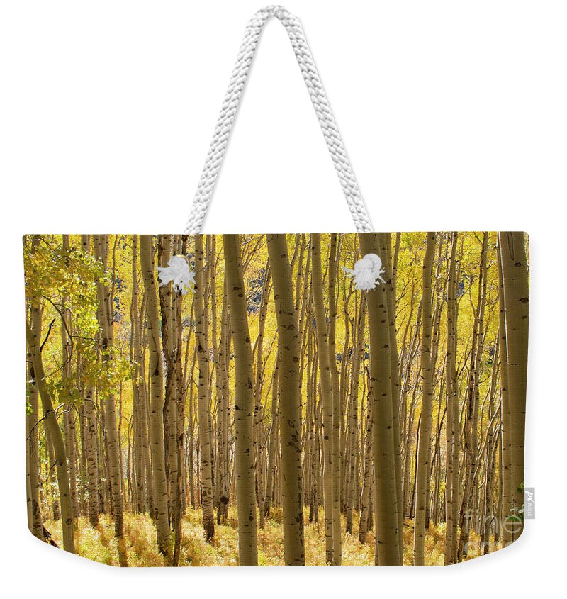 Aspen Weekender Tote Bag featuring the photograph Golden Forest by Julia McHugh