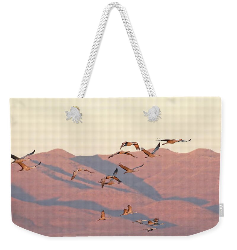 Arizona Weekender Tote Bag featuring the photograph Golden Hour Light by Jean Clark
