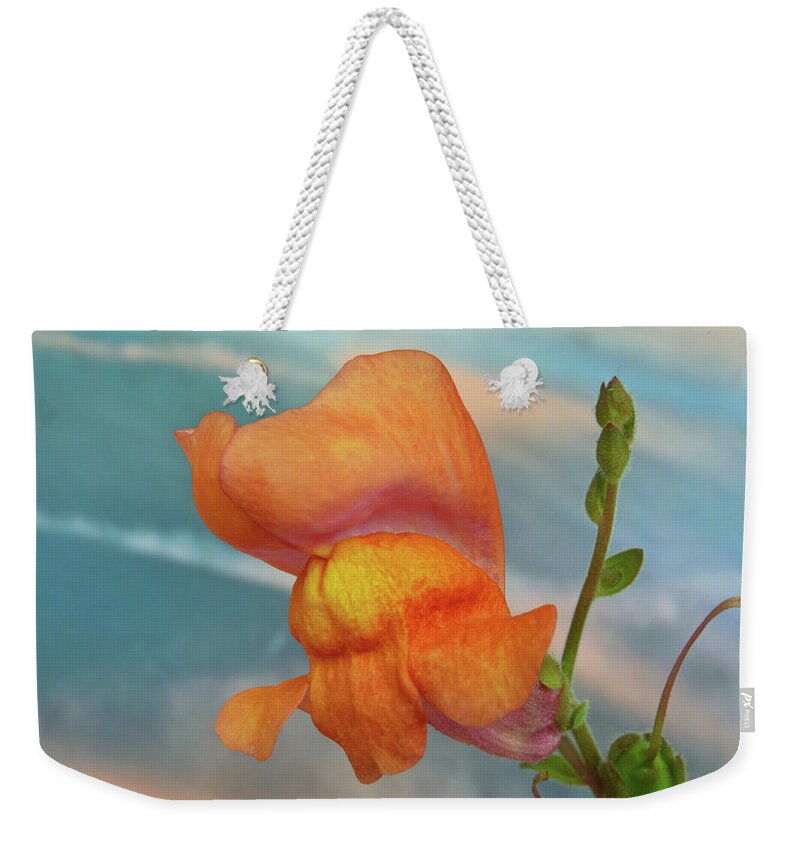 Snapdragon Weekender Tote Bag featuring the photograph Golden Snapdragon by Terence Davis