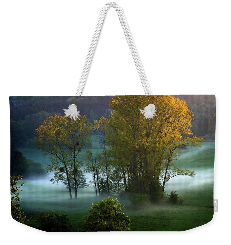 Tranquility Weekender Tote Bag featuring the photograph Golden Trees In Autumn Mist by Ilya Melnikov