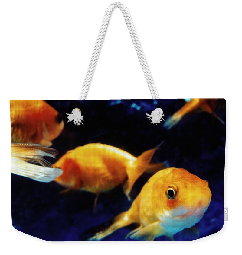 Goldfish In Fish Tank Weekender Tote Bag by Silvia Otte - Fine Art America