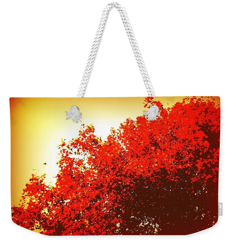 Sunrise Weekender Tote Bag featuring the photograph Gooood Morning Sydney by VIVA Anderson