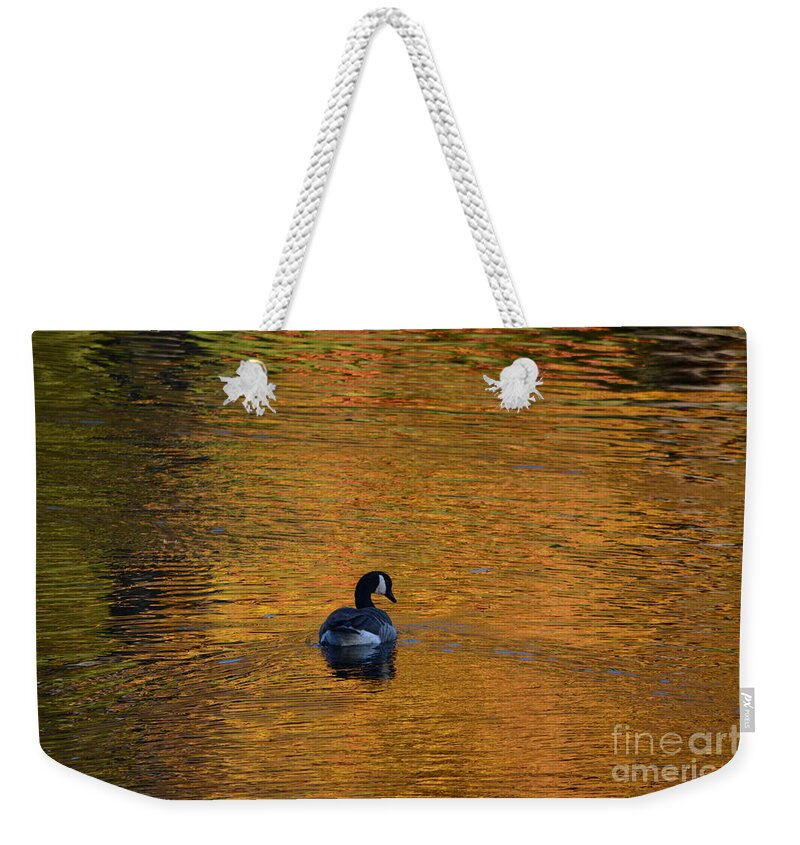 Geese Weekender Tote Bag featuring the photograph Goose Swimming In Autumn Colors by Dani McEvoy