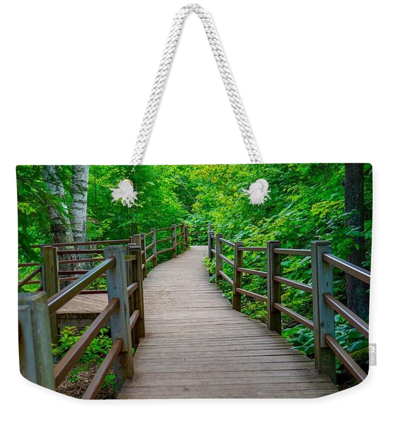 Forest Weekender Tote Bag featuring the photograph Gooseberry River Trail by Susan Rydberg