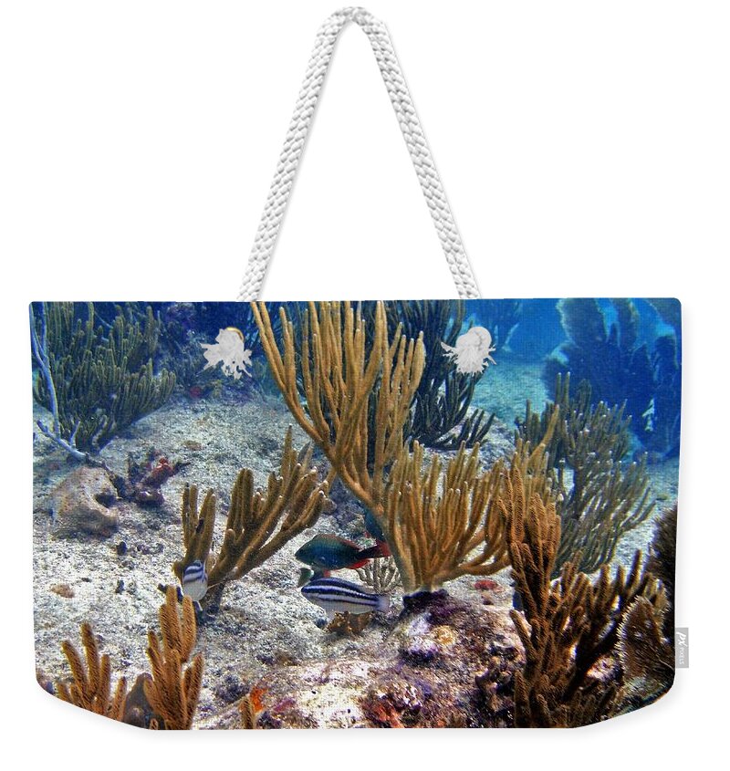 Gorgonian Coral Weekender Tote Bag featuring the photograph Gorgonian Parrotfish by Climate Change VI - Sales
