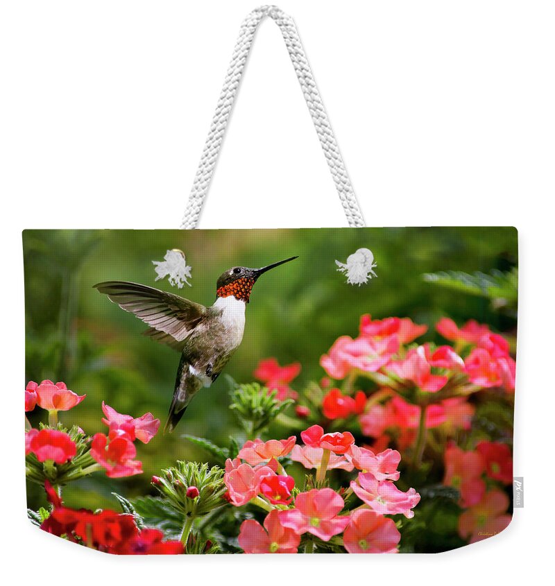 Hummingbird Weekender Tote Bag featuring the photograph Graceful Garden Jewel by Christina Rollo