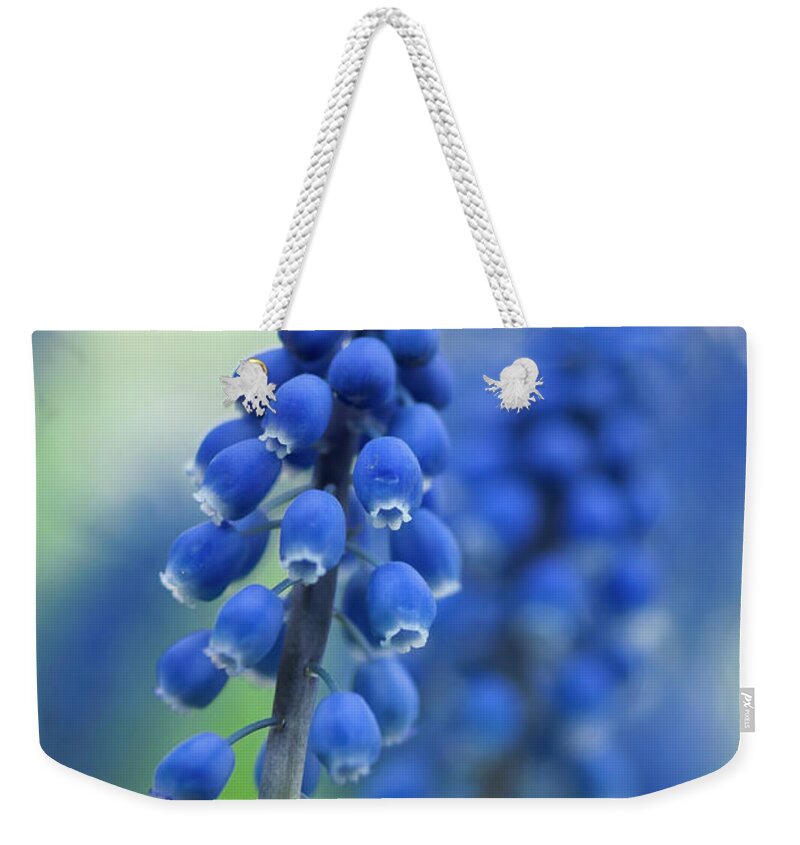 Grape Hyacinth Weekender Tote Bag featuring the photograph Grape Hyacinth by Ginger Stein