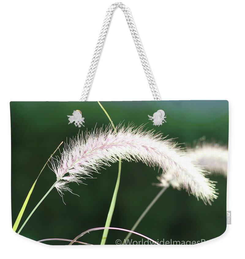 Gardens Weekender Tote Bag featuring the photograph Grass in Sunlight by Leslie Struxness