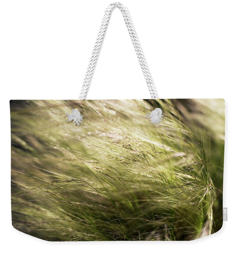 Wind Weekender Tote Bag featuring the photograph Grass In Wind by Olga Melhiser Photography
