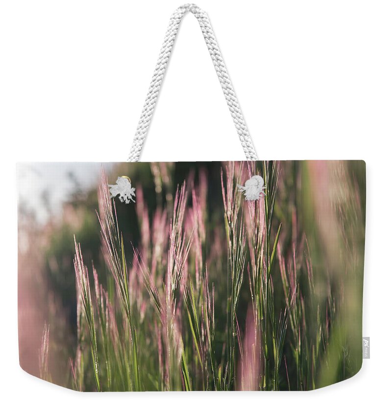 National Park Weekender Tote Bag featuring the photograph Grass by Steven Keys
