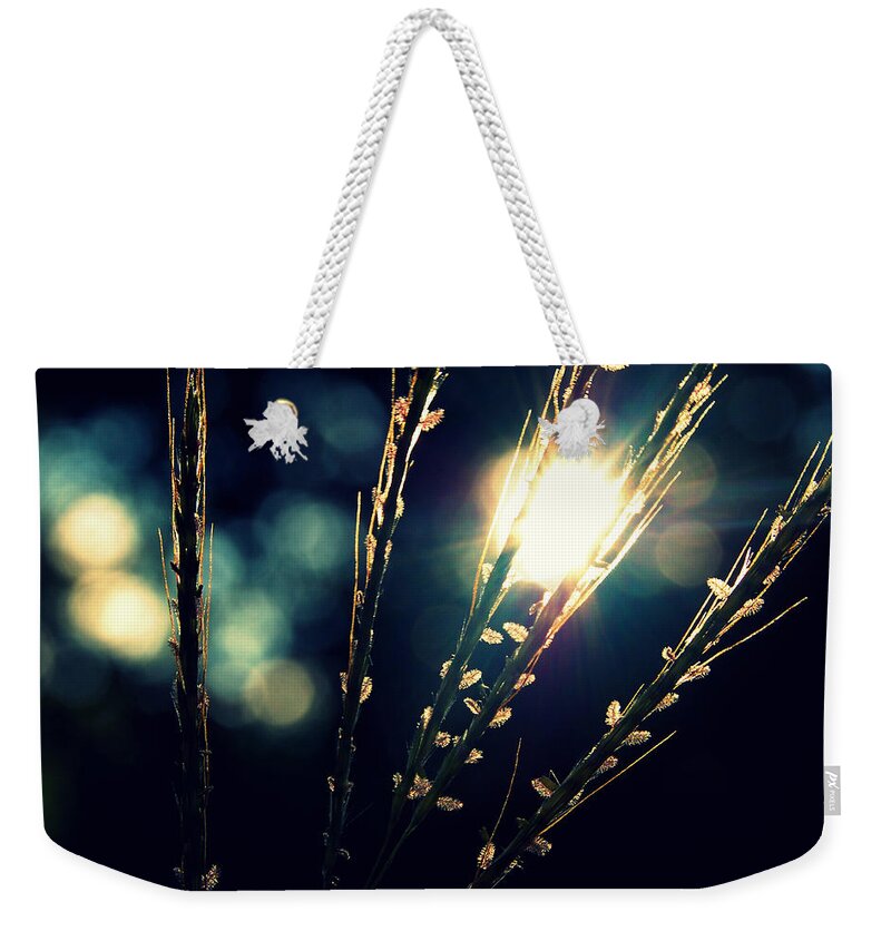 Grass Weekender Tote Bag featuring the photograph Grasses Backlit With Sunflare by Meredith Winn Photography