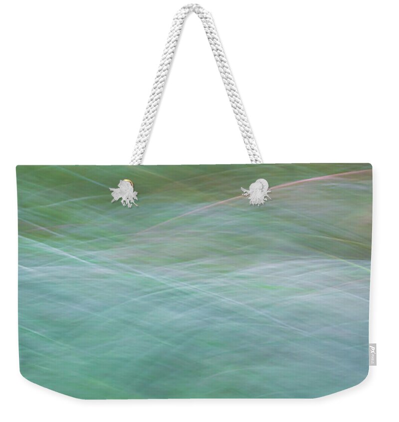 Abstract Weekender Tote Bag featuring the photograph Grasses by Brad Bellisle