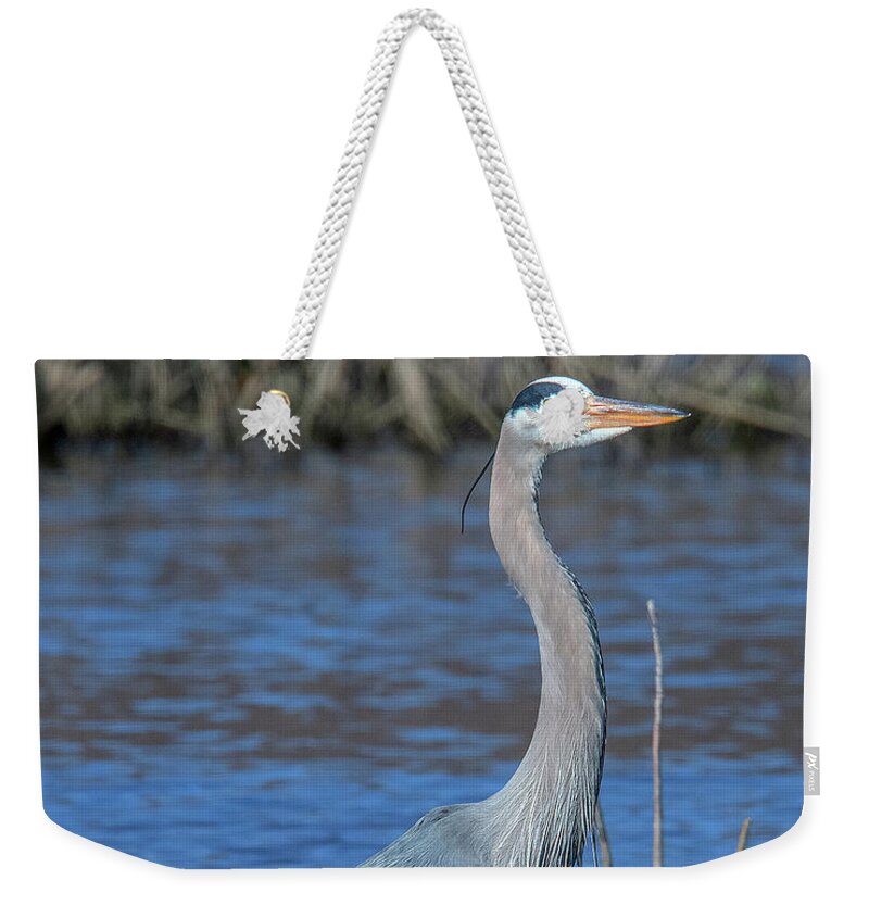 Nature Weekender Tote Bag featuring the photograph Great Blue Heron DMSB0150 by Gerry Gantt