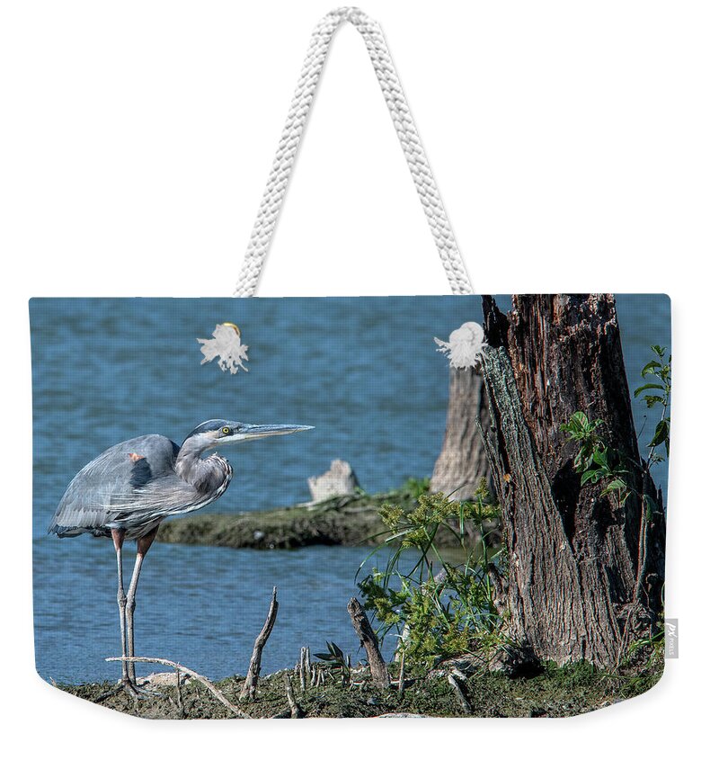 Nature Weekender Tote Bag featuring the photograph Great Blue Heron DMSB0213 by Gerry Gantt