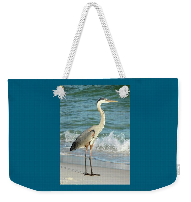 Birds Weekender Tote Bag featuring the photograph Great Blue Heron in the Surf by Karen Stansberry