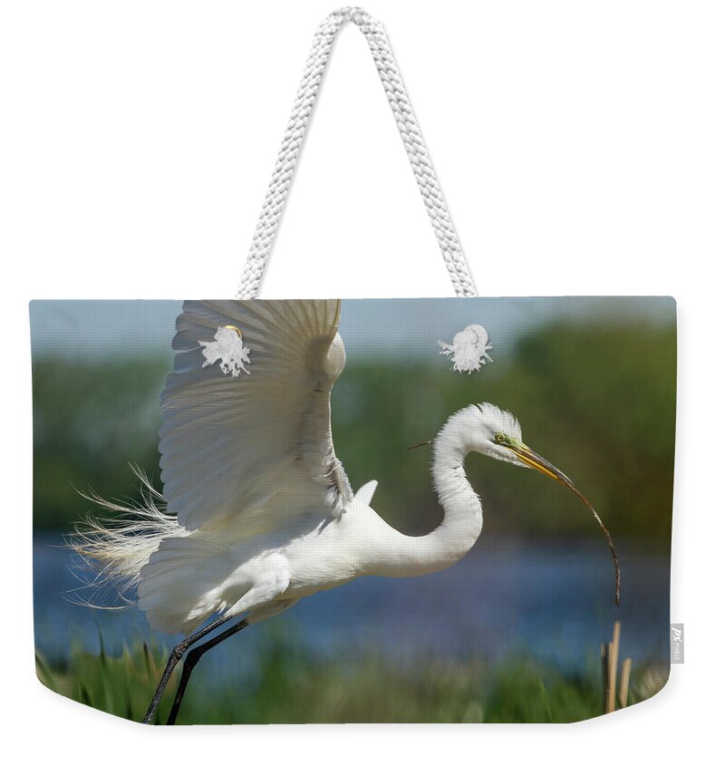 Great Egret Weekender Tote Bag featuring the photograph Great Egret 2014-1 by Thomas Young