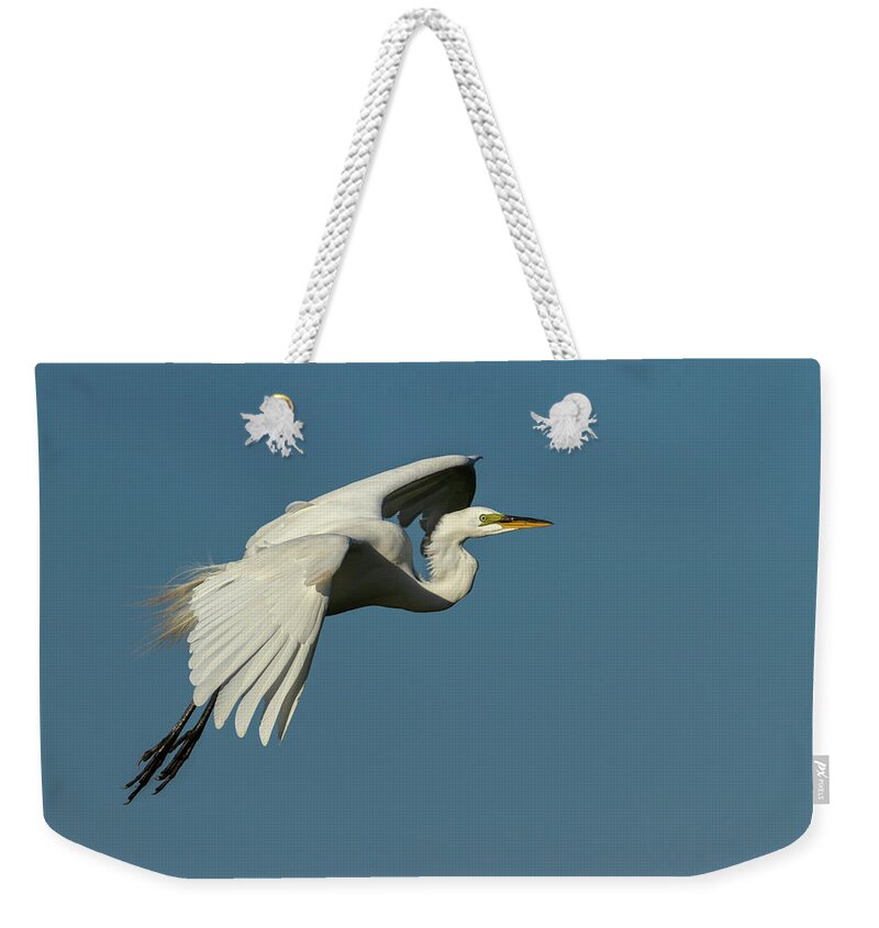 Great Egret Weekender Tote Bag featuring the photograph Great Egret 2014-8 by Thomas Young