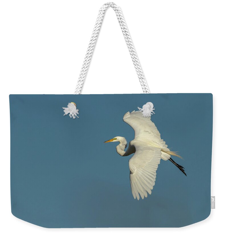 Great Egret Weekender Tote Bag featuring the photograph Great Egret 2014-9 by Thomas Young