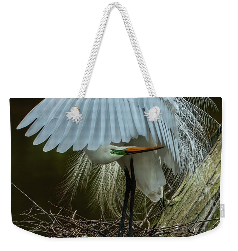 Nature Weekender Tote Bag featuring the photograph Great Egret Beauty by Donald Brown