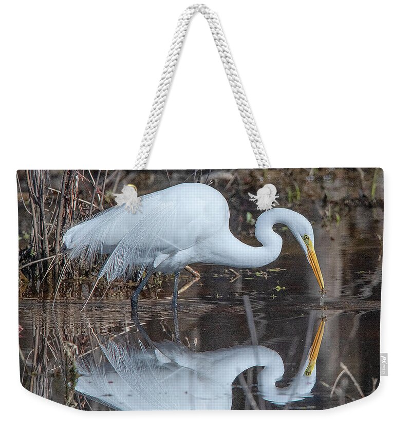Nature Weekender Tote Bag featuring the photograph Great Egret in Breeding Plumage DMSB0154 by Gerry Gantt