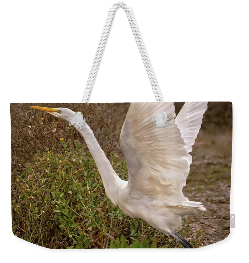 Nature Weekender Tote Bag featuring the photograph Great Egret Taking Flight Near Richardson Bay by Brian Tada