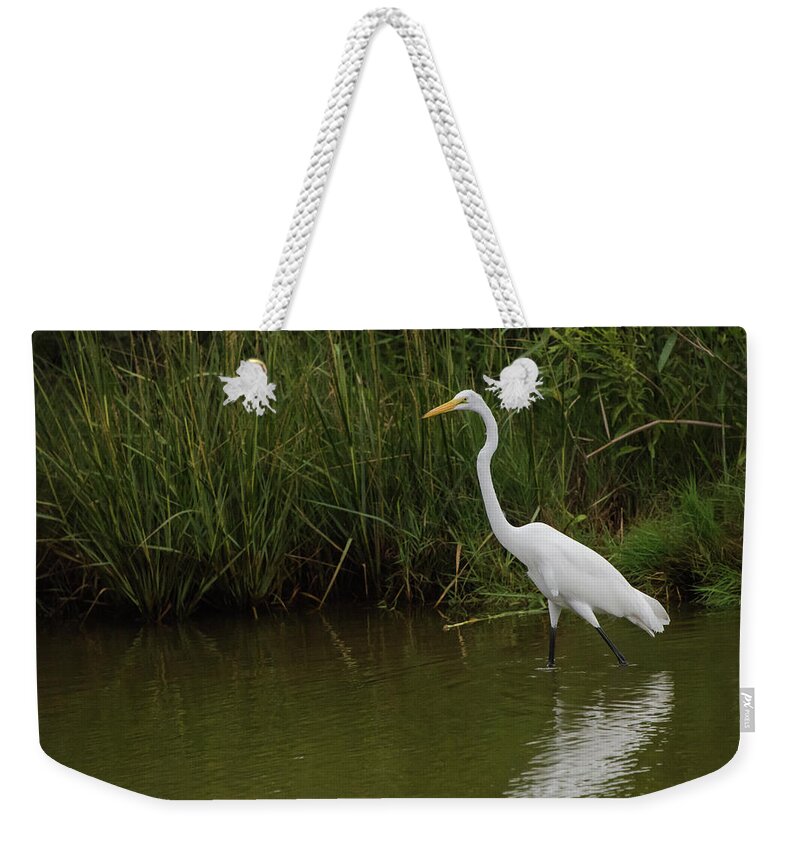 Egret Weekender Tote Bag featuring the photograph Great Egret Walking by Jennifer Ancker
