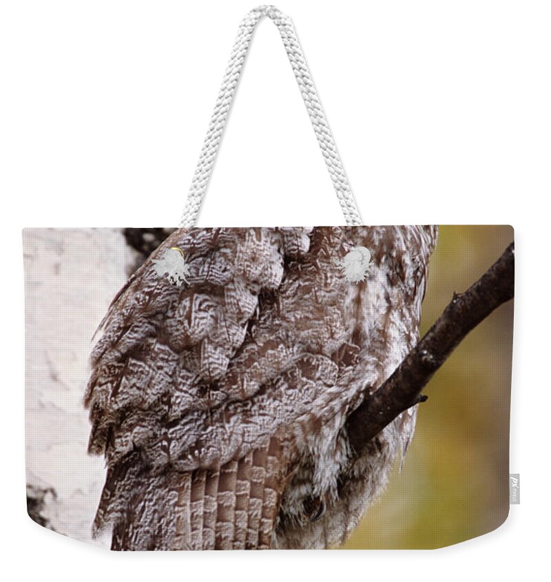 Focus Weekender Tote Bag featuring the photograph Great Grey Owl Strix Nebulosa, Perching by Eastcott Momatiuk