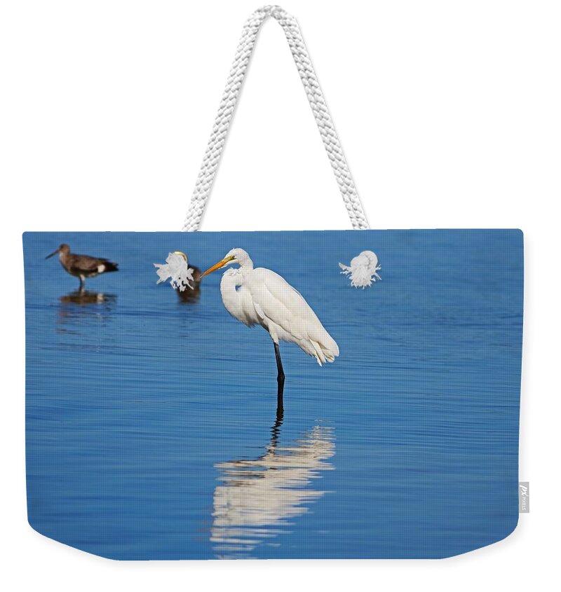 Great White Egret Weekender Tote Bag featuring the photograph Great White Egret at Ding I by Michiale Schneider