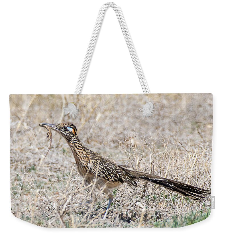 Bird Weekender Tote Bag featuring the photograph Greater Roadrunner with Lizard by Dennis Hammer