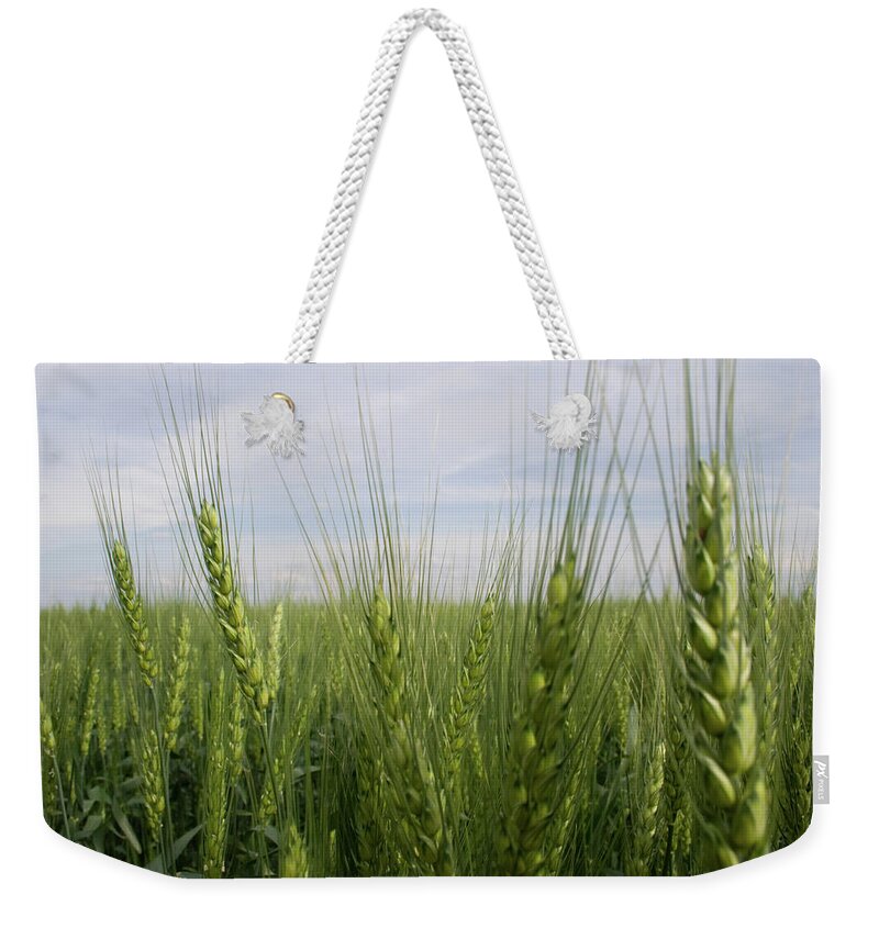 Green Beards Weekender Tote Bag featuring the photograph Green Beards by Dylan Punke