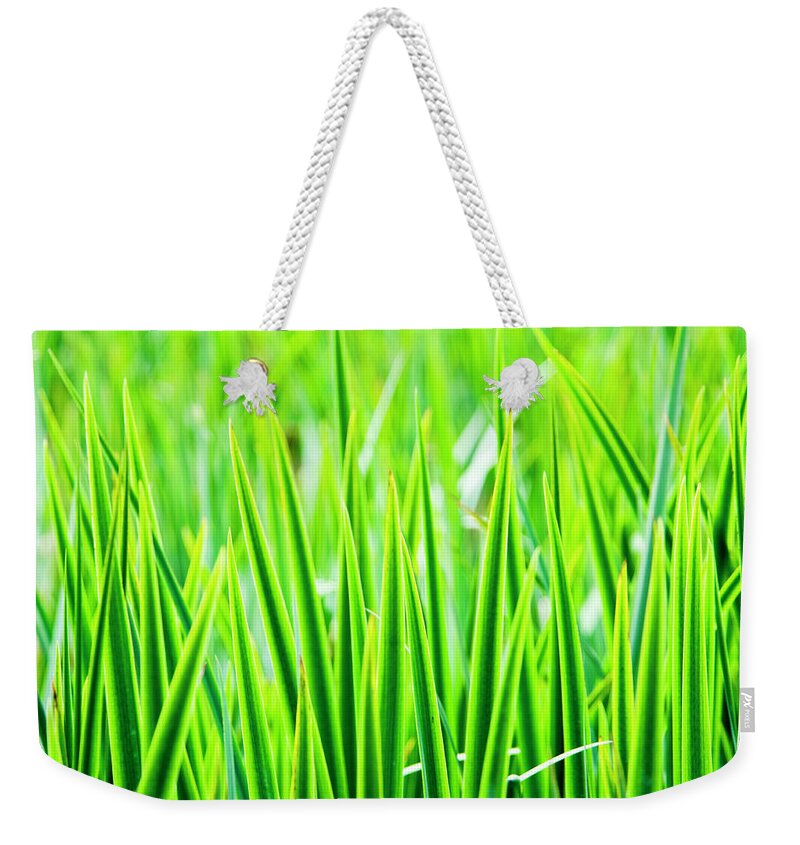 Outdoors Weekender Tote Bag featuring the photograph Green Blades Of Grass by A.t. I Images