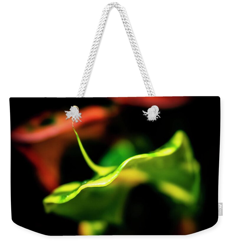 Flowers Weekender Tote Bag featuring the photograph Green Croton by Silvia Marcoschamer