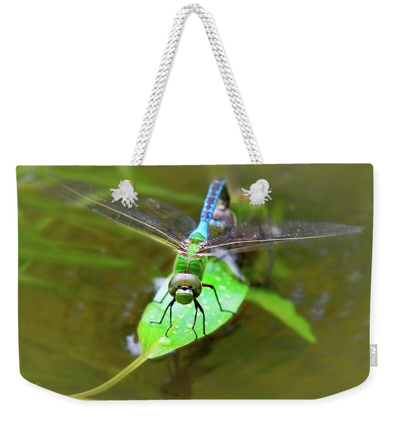 Dragonfly Weekender Tote Bag featuring the photograph Green Darner Dragonfly by Christina Rollo