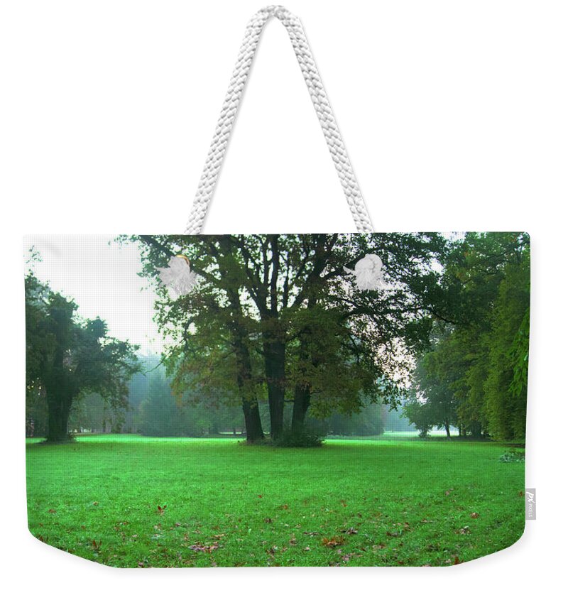 Landscape Park Weekender Tote Bag featuring the photograph Green dawn in autumn by Sun Travels