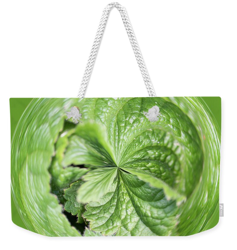 Orb Weekender Tote Bag featuring the photograph Green flower orb by Phillip Rubino