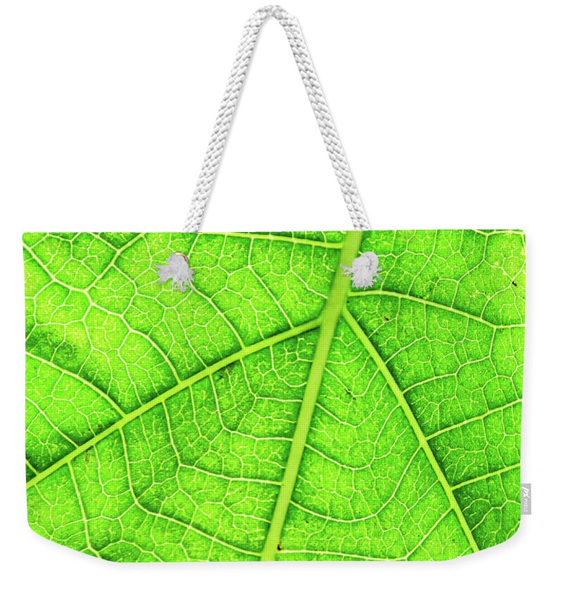 Outdoors Weekender Tote Bag featuring the photograph Green Leaf Veins Macro by Www.imagesbyhafiz.com