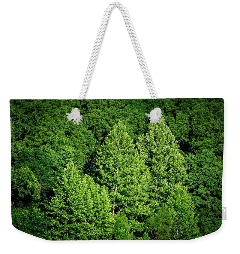 Lyon County Weekender Tote Bag featuring the photograph Green on Green by Jeff Phillippi