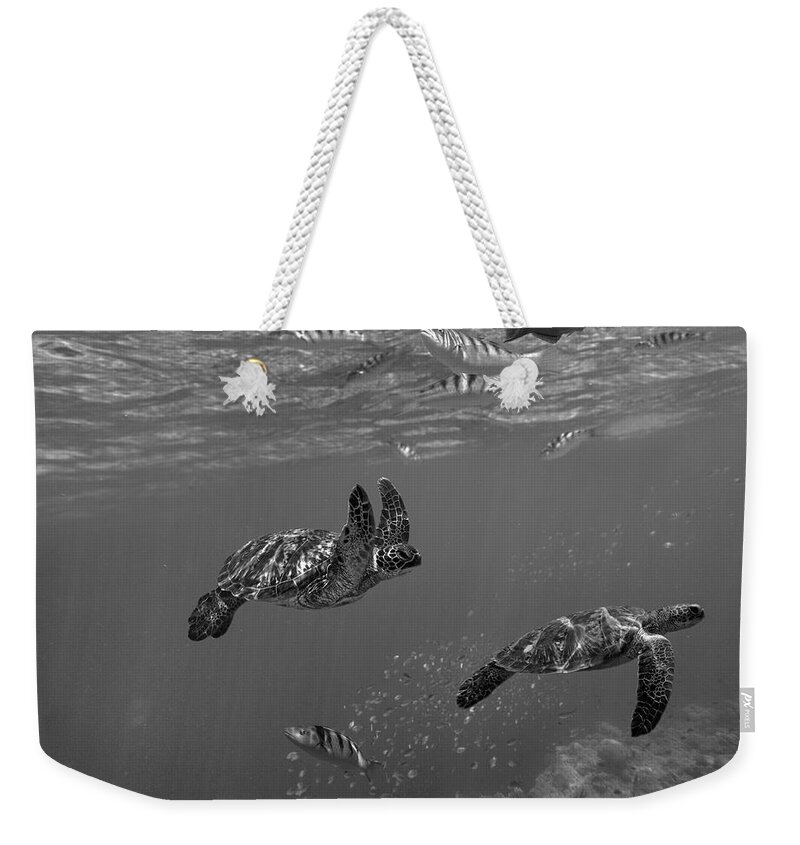 Disk1215 Weekender Tote Bag featuring the photograph Green Sea Turtles Philippines by Tim Fitzharris